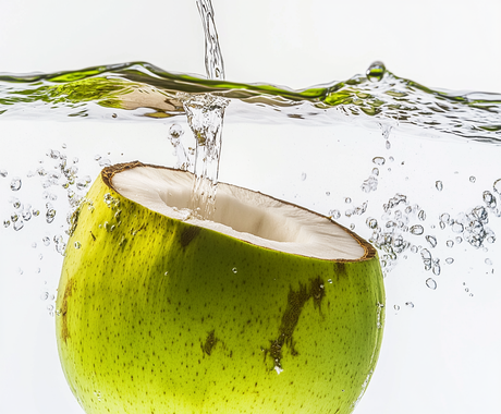 Shineless Oil-Free Moisturizer